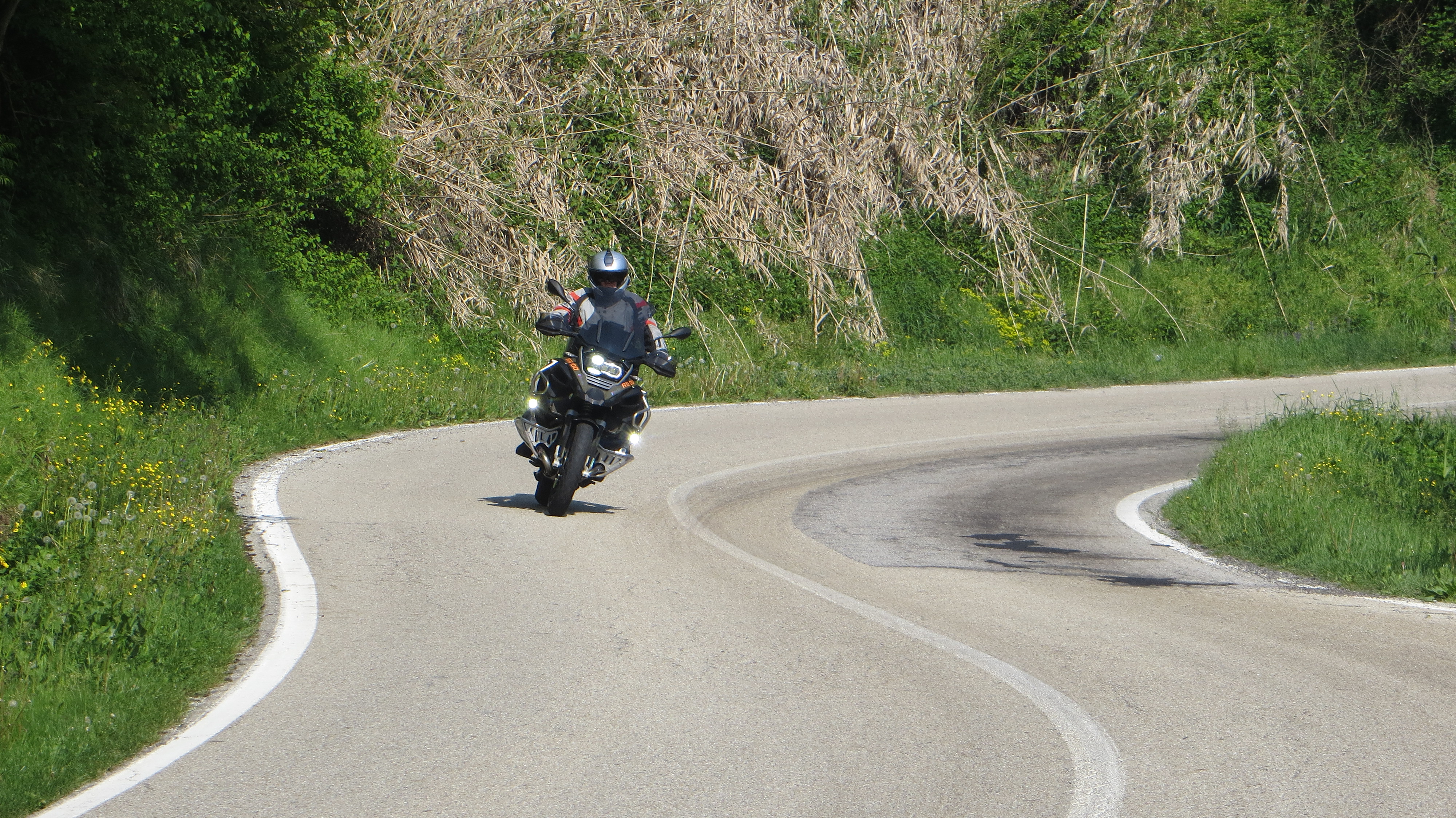 IMG_5425.JPG