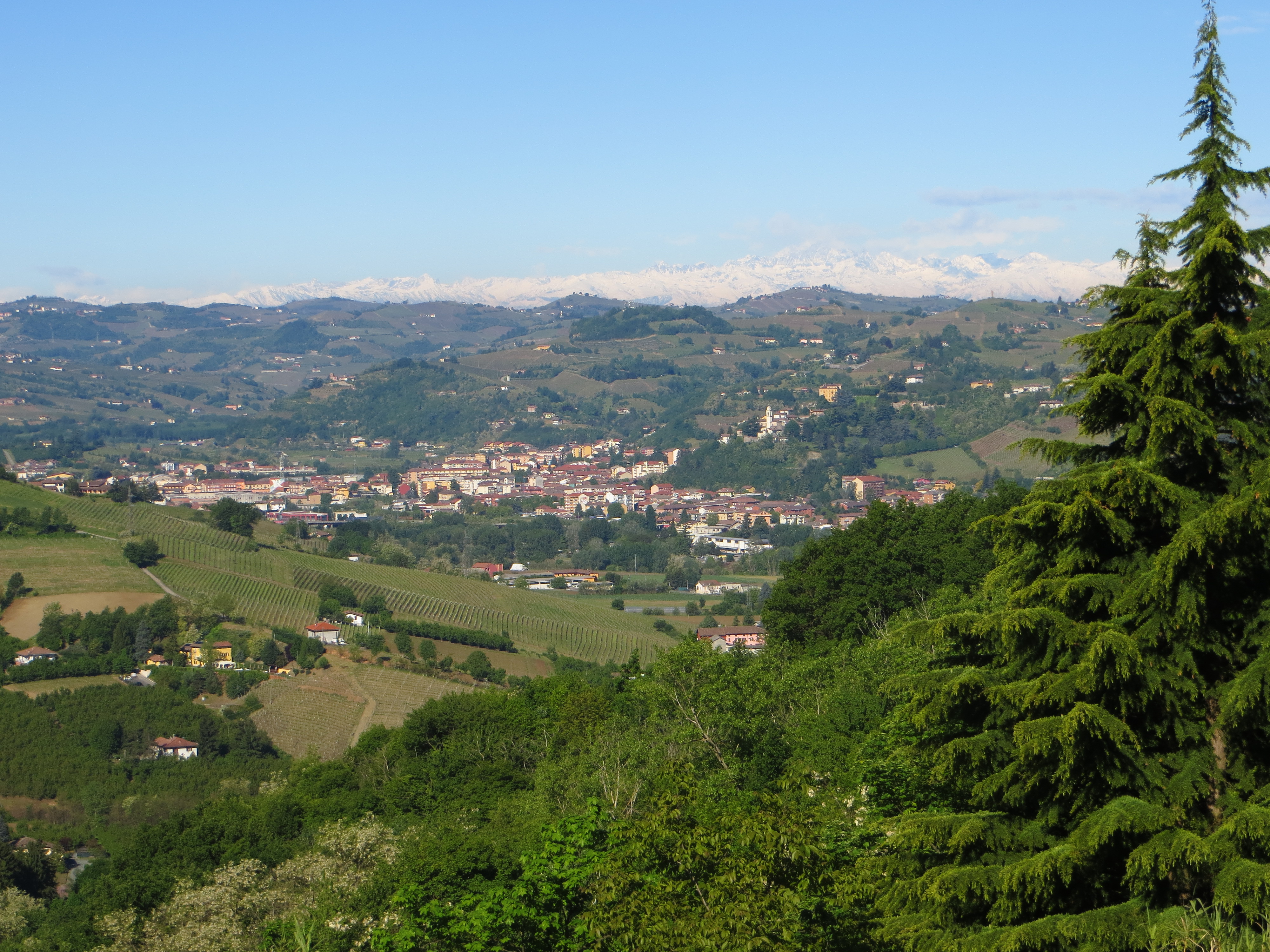 IMG_5431.JPG
