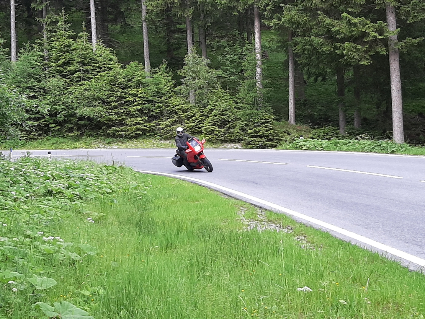 Bild19.jpg