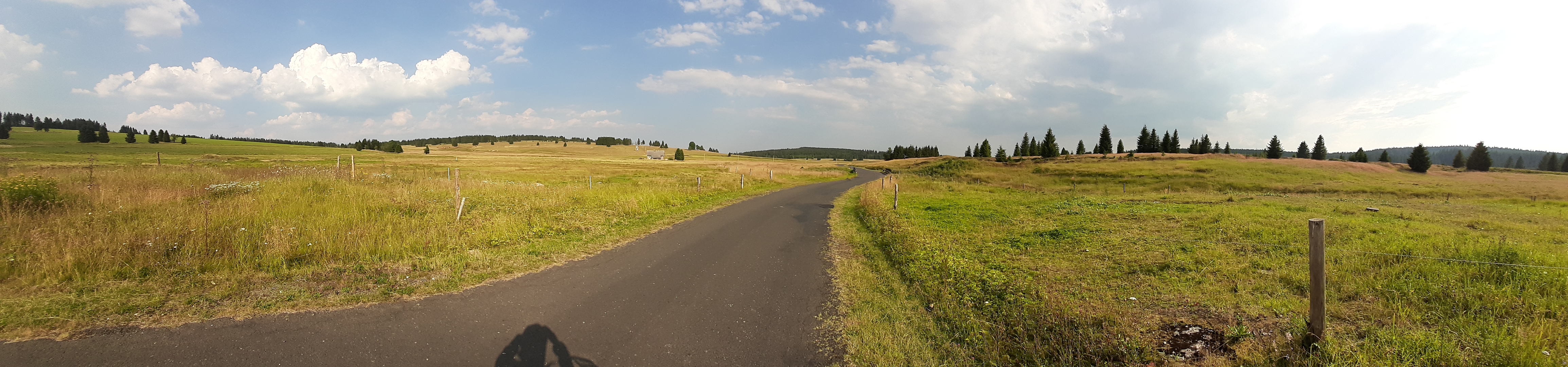 20200809_170857.jpg