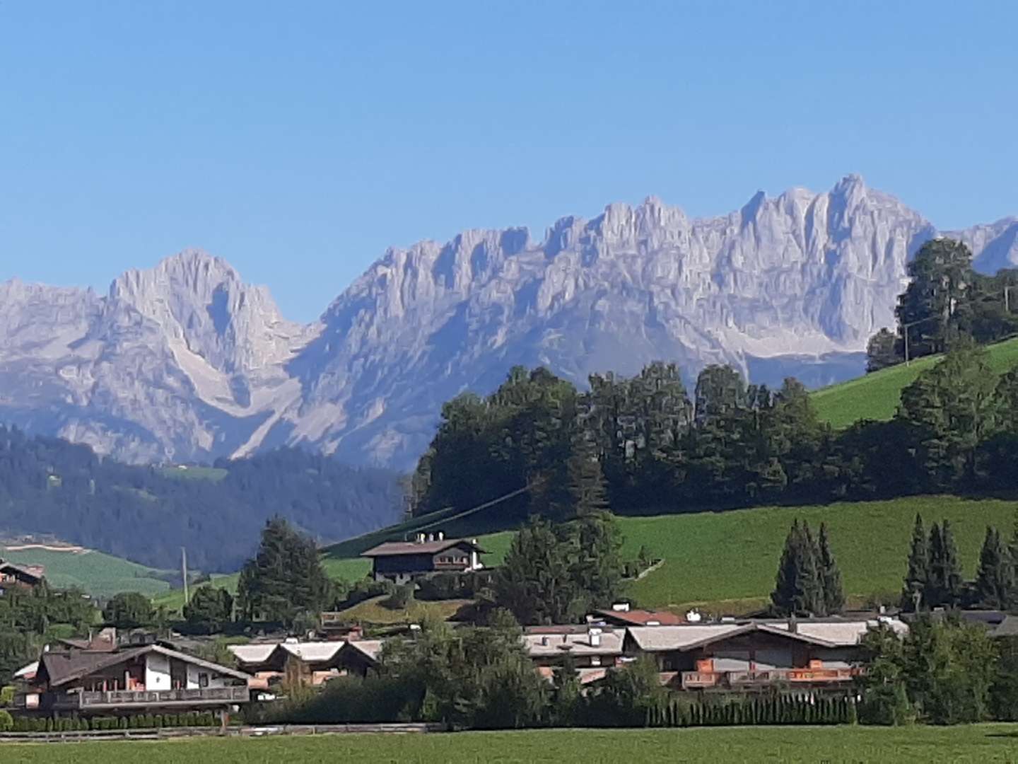20200919_100115.jpg