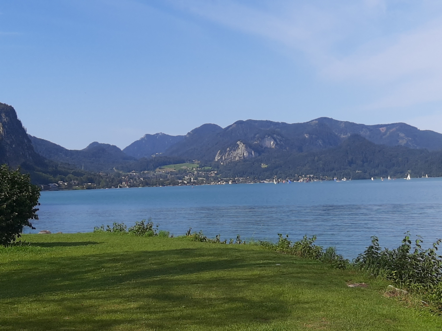 20200919_135913.jpg