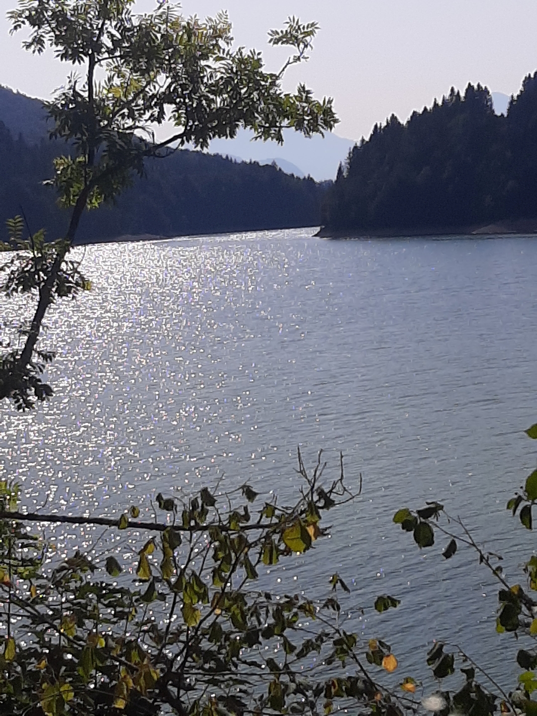 20200919_144817.jpg