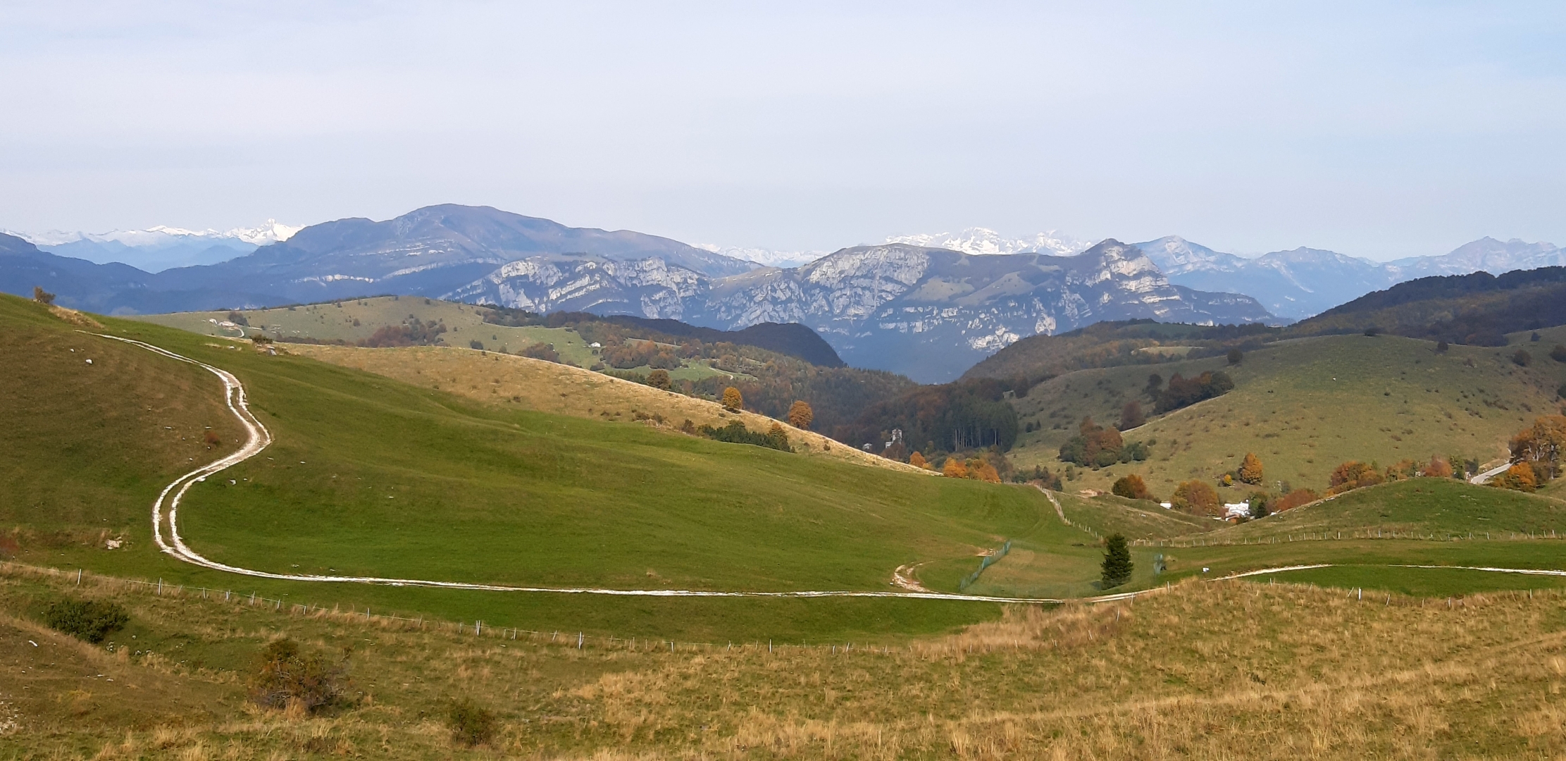 20201009_120531[1].jpg