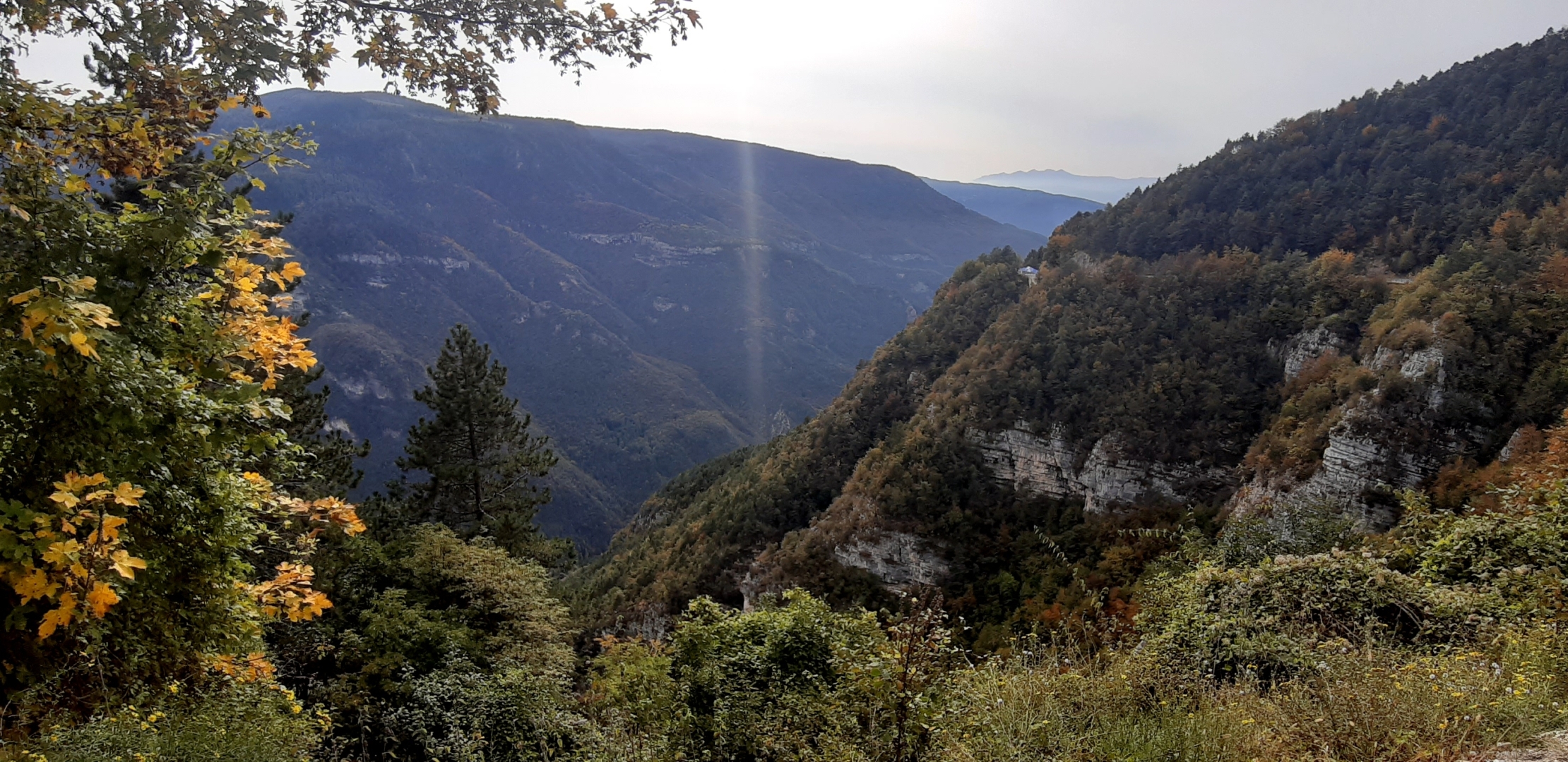 20201009_145239[1].jpg