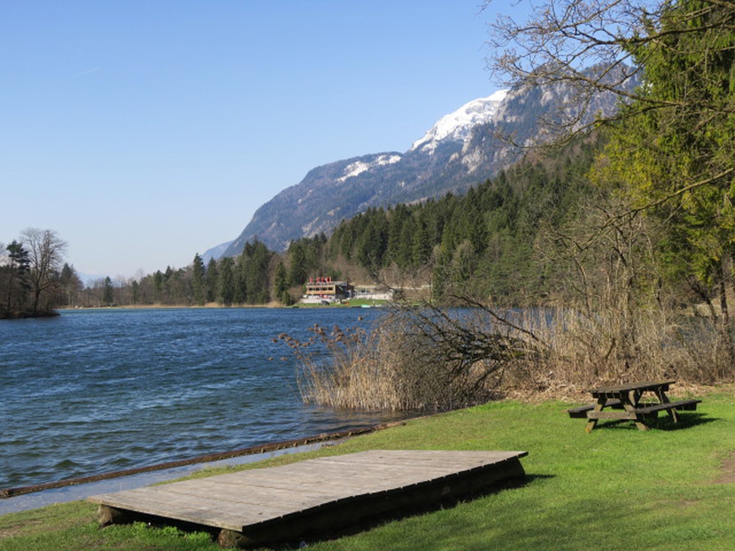 IMG_7960.JPG
