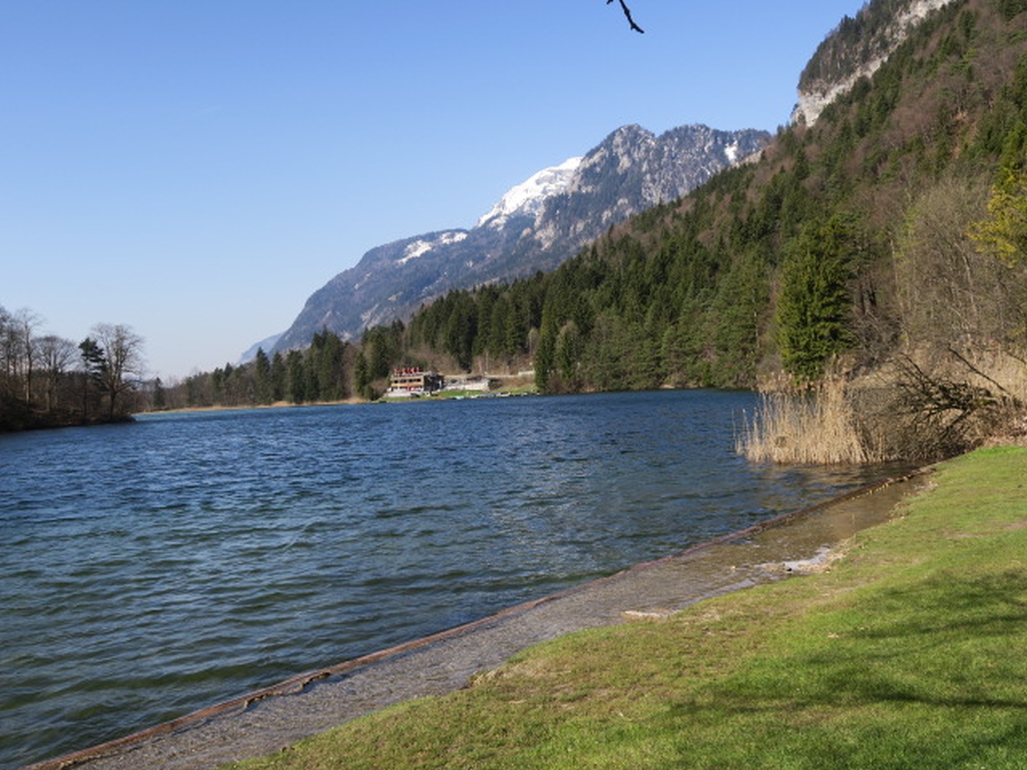IMG_7961.JPG