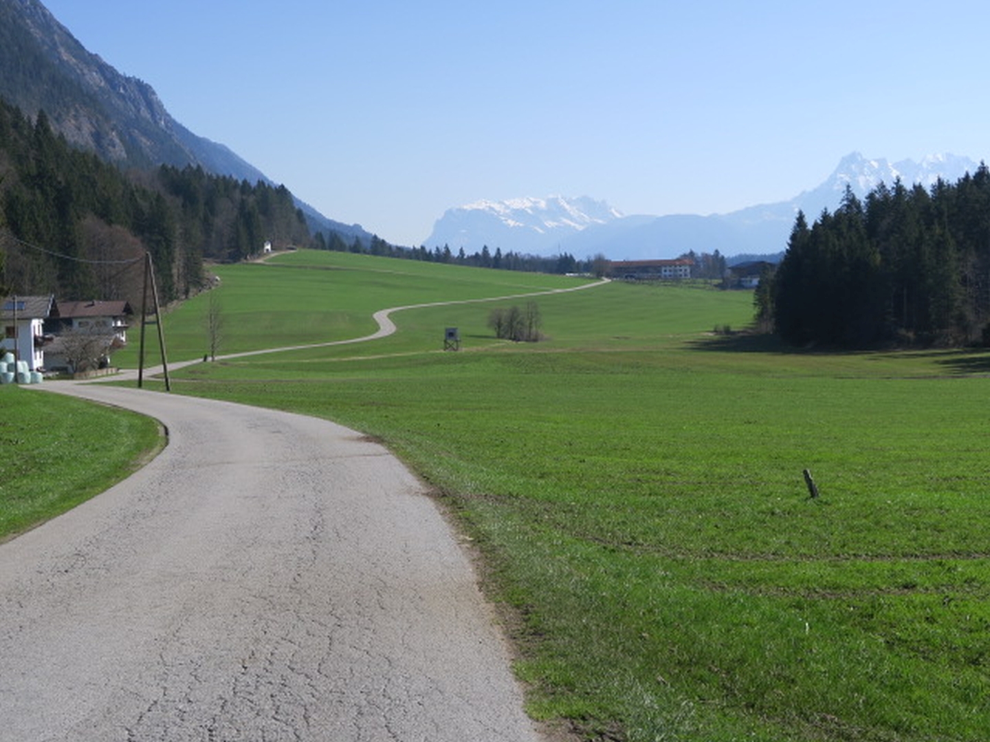 IMG_7964.JPG