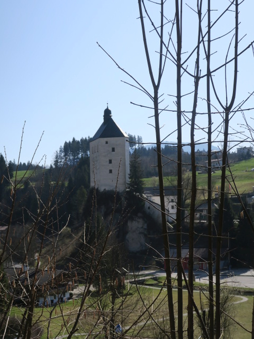 IMG_7965.JPG