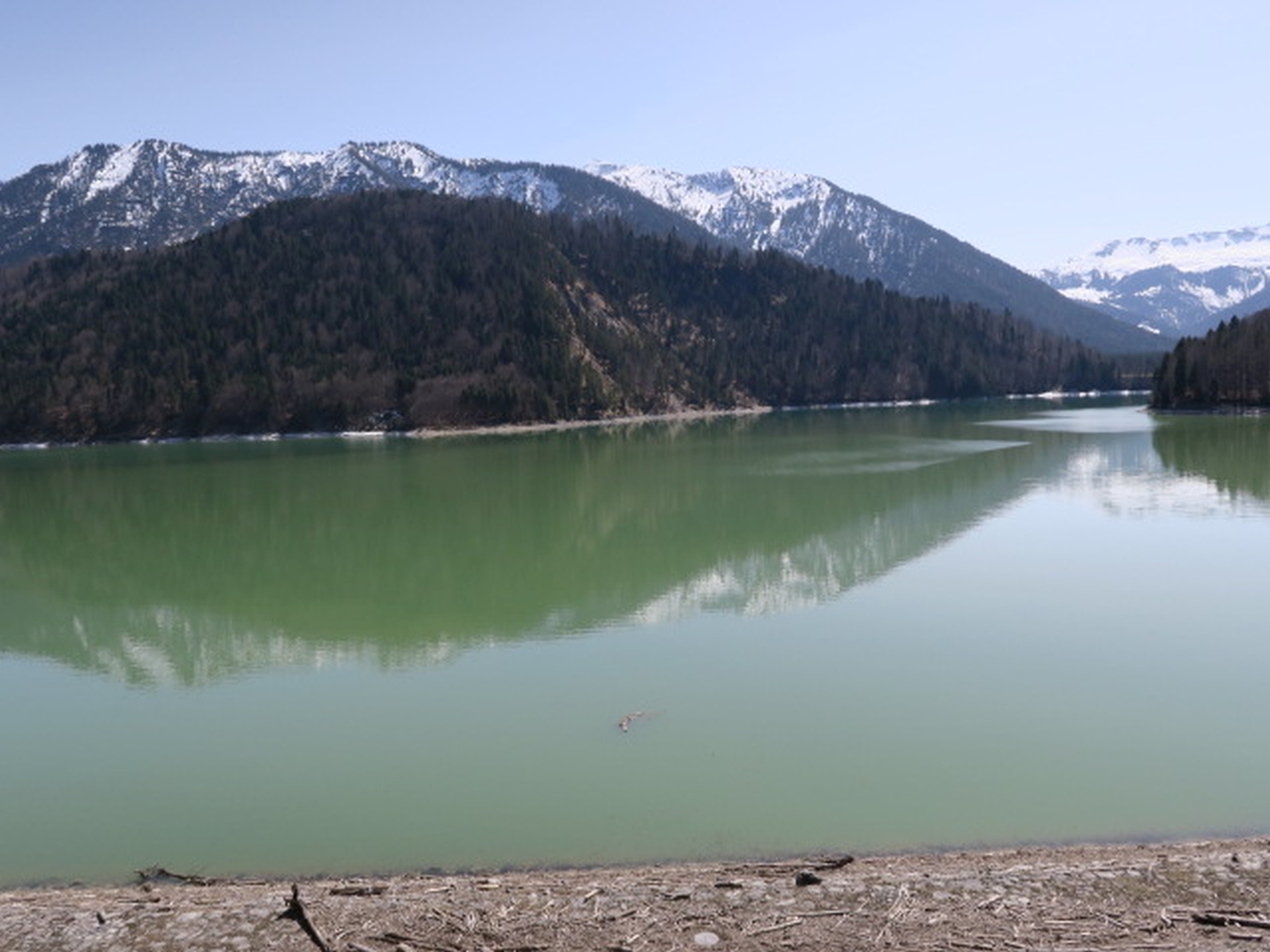IMG_7976.JPG