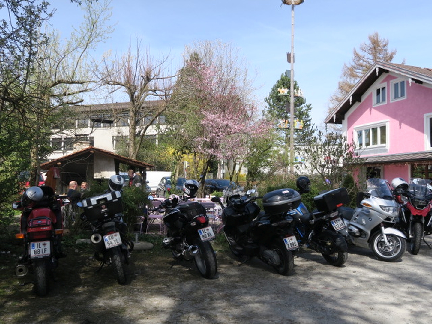 IMG_7979.JPG