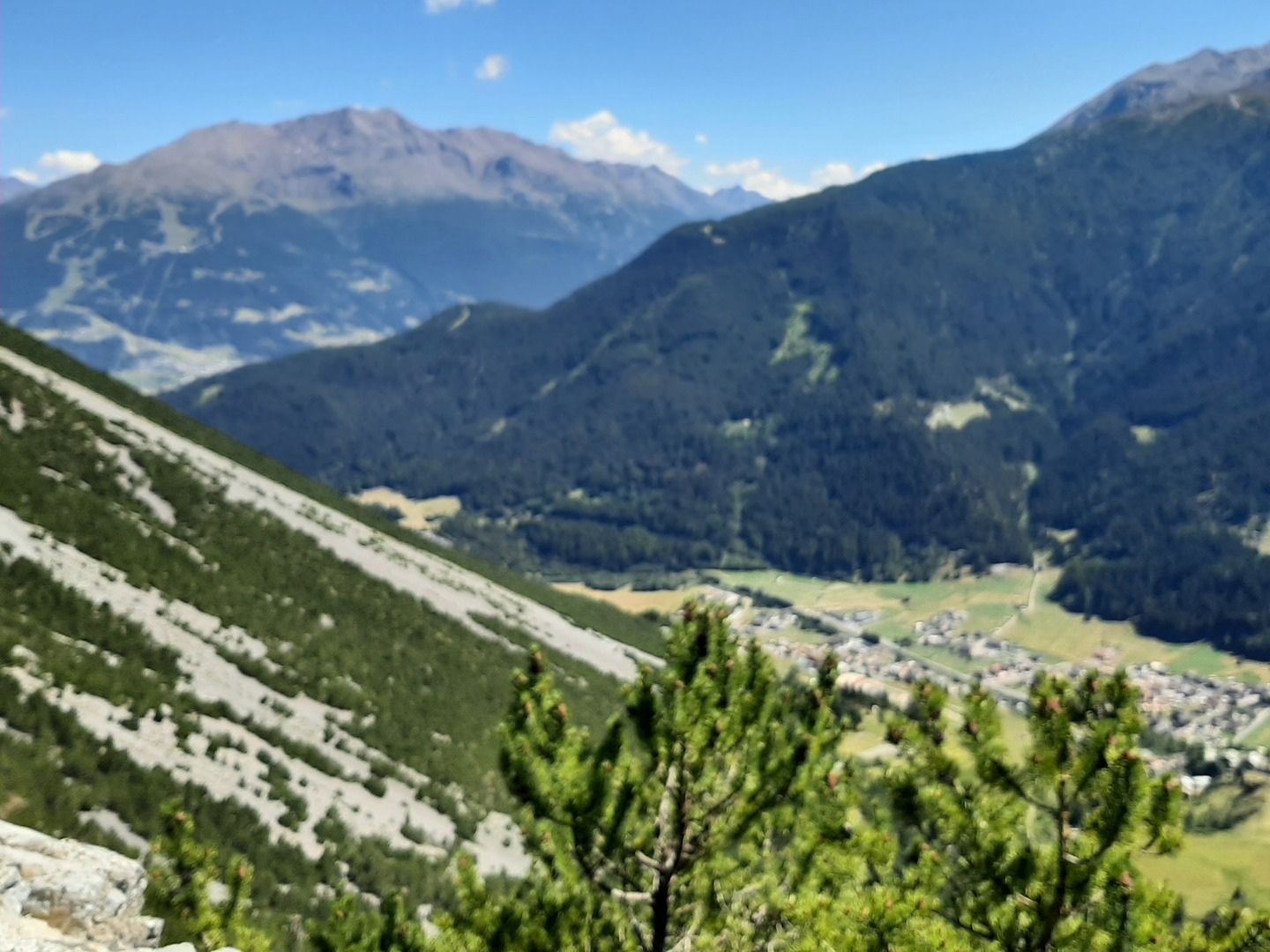 20220713_153103.jpg