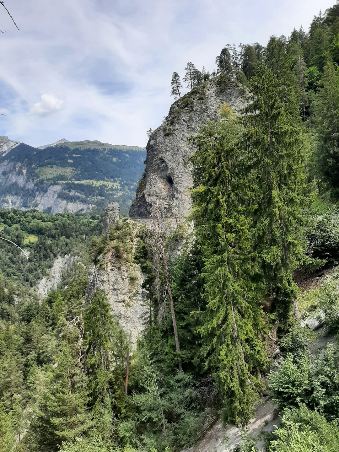 20220714_123216.jpg