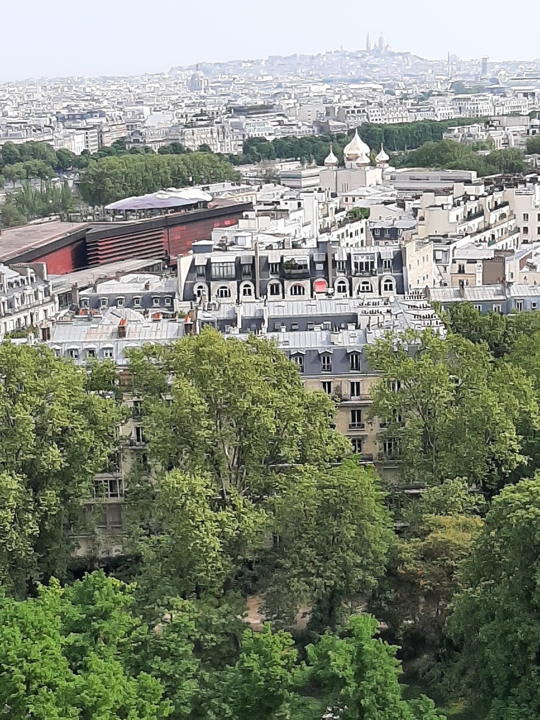 20220428_115125.jpg
